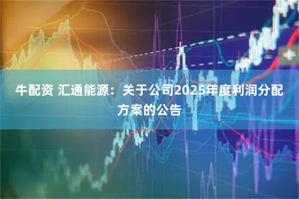 牛配资 汇通能源：关于公司2025年度利润分配方案的公告