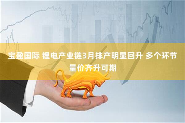 宝盈国际 锂电产业链3月排产明显回升 多个环节量价齐升可期