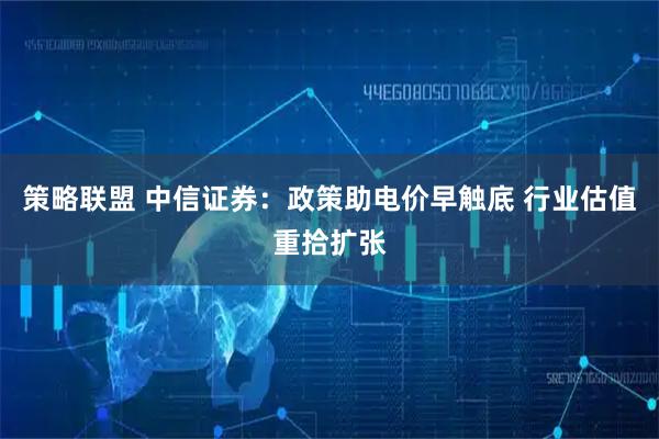 策略联盟 中信证券：政策助电价早触底 行业估值重拾扩张