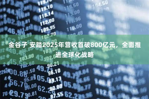 金谷子 安踏2025年营收首破800亿元，全面推进全球化战略