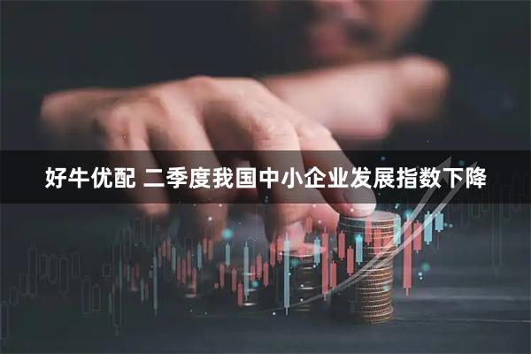 好牛优配 二季度我国中小企业发展指数下降