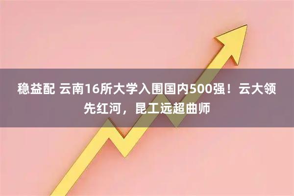 稳益配 云南16所大学入围国内500强！云大领先红河，昆工远超曲师
