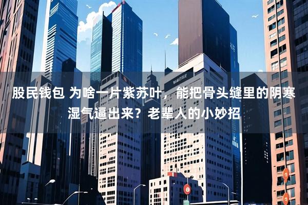 股民钱包 为啥一片紫苏叶，能把骨头缝里的阴寒湿气逼出来？老辈人的小妙招