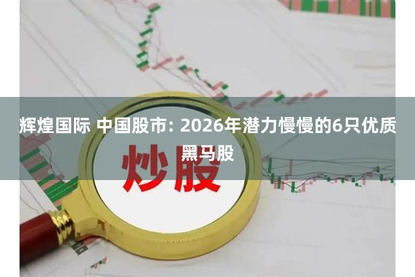 辉煌国际 中国股市: 2026年潜力慢慢的6只优质黑马股