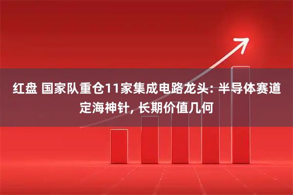 红盘 国家队重仓11家集成电路龙头: 半导体赛道定海神针, 长期价值几何