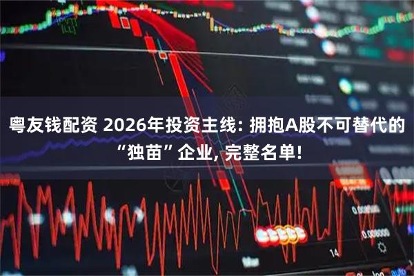 粤友钱配资 2026年投资主线: 拥抱A股不可替代的“独苗”企业, 完整名单!