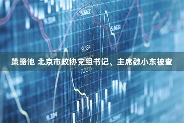 策略池 北京市政协党组书记、主席魏小东被查