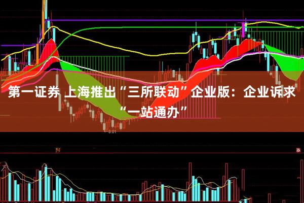 第一证券 上海推出“三所联动”企业版：企业诉求“一站通办”