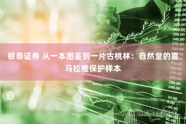 银泰证券 从一本图鉴到一片古桃林：自然堂的喜马拉雅保护样本